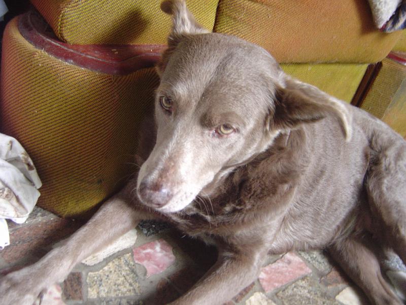 DSC01288