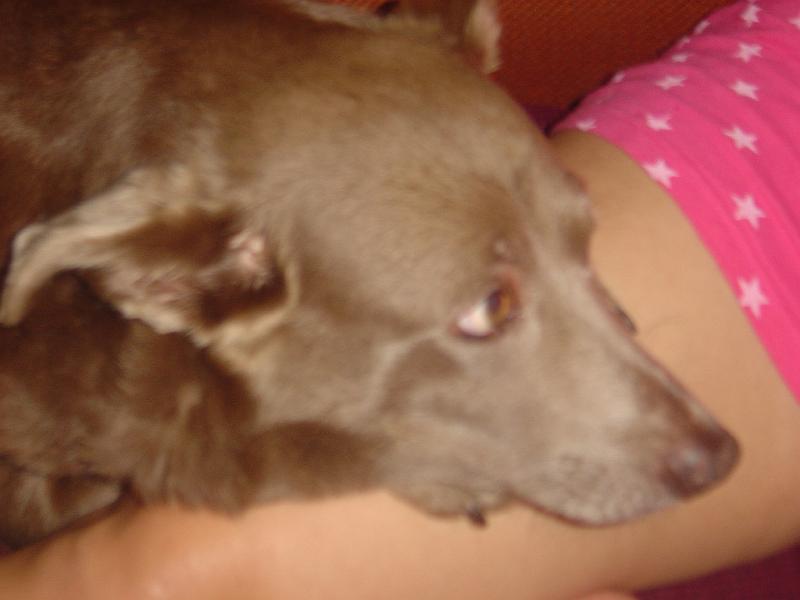 DSC05583