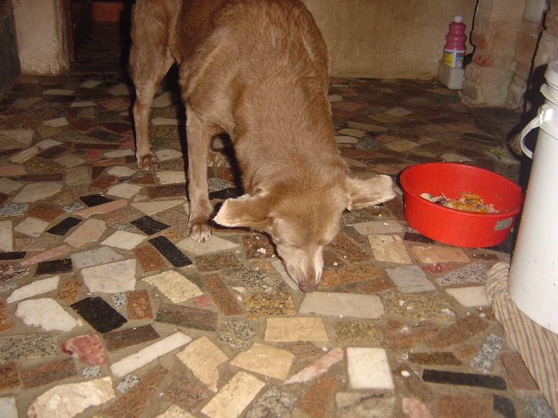 DSC05586