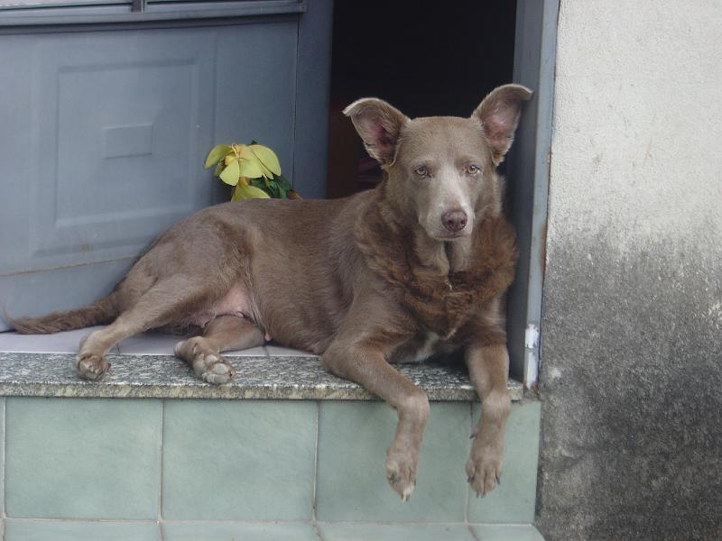 DSC05701