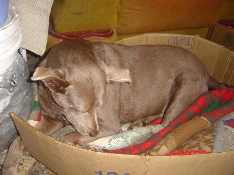 DSC05784