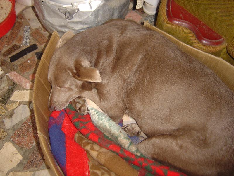 DSC05785