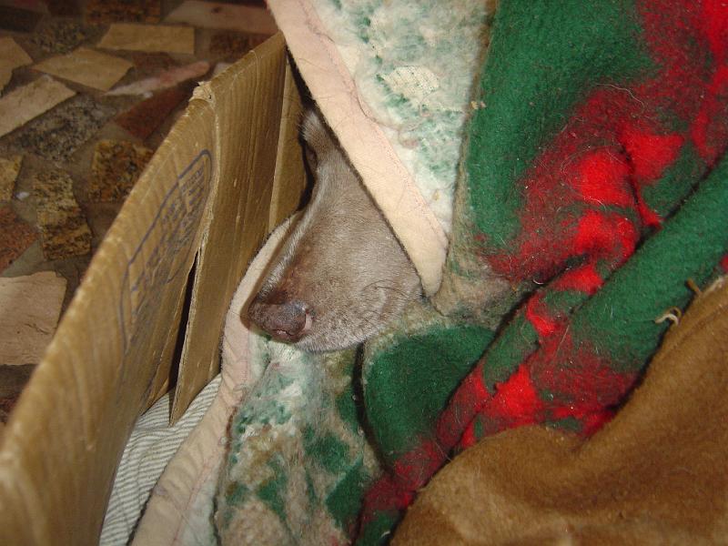 DSC05791