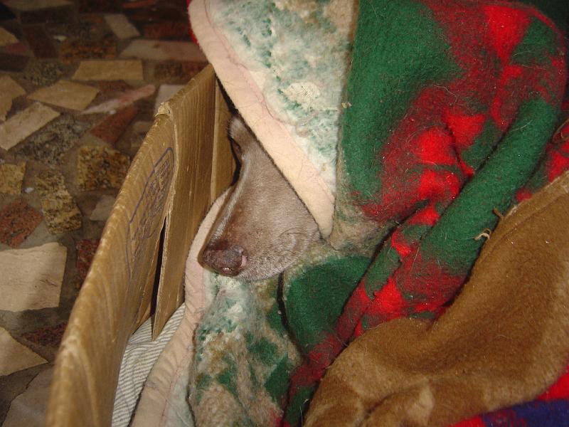 DSC05792