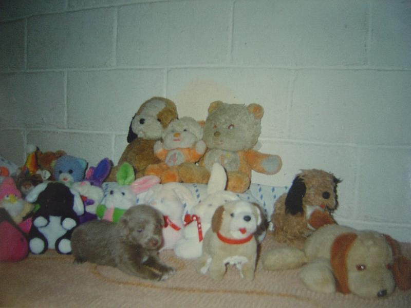snoopy01