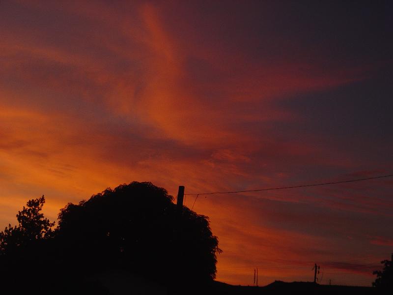 DSC00476