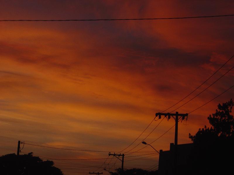 DSC00479