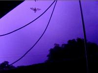  Imagens extraidas de um arquivo AVI, de um temporal que caiu no dia 13 de Fevereiro de 2008, por volta das 5:20 da manhã.