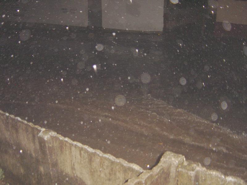 DSC00389