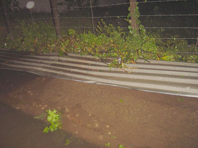 DSC00394