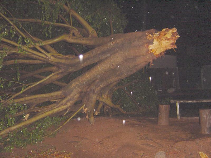 DSC00404