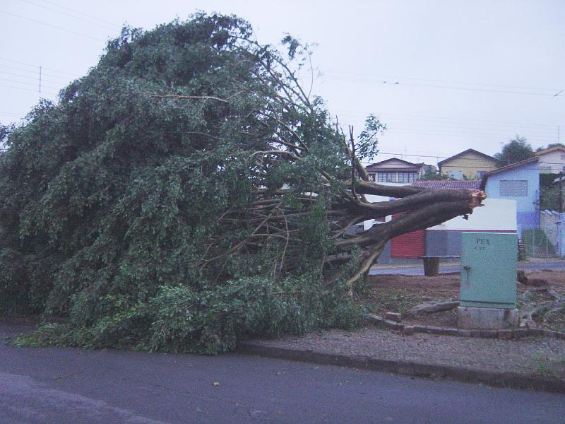 DSC00416