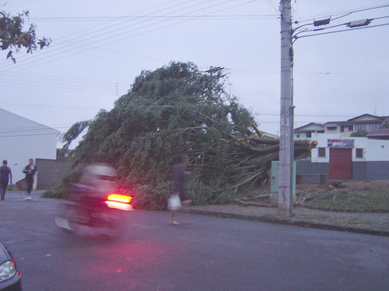 DSC00417