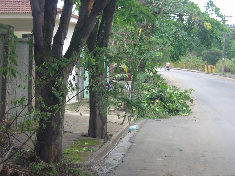 DSC00429