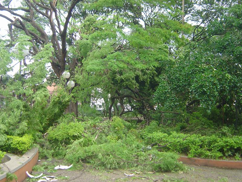 DSC00433