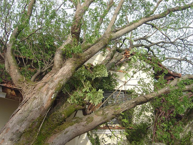 DSC00452