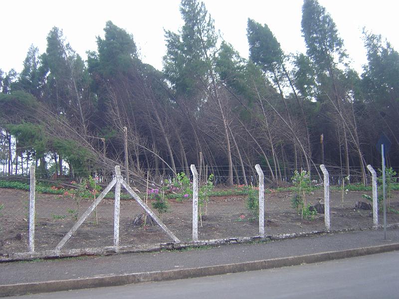 DSC00455