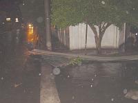  Telhas do barracão que tem aqui na rua.