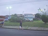  A segunda arvore da pracinha.