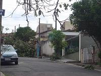  Parte alta da rua de casa.