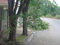 DSC00429