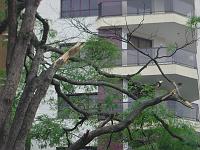 DSC00436