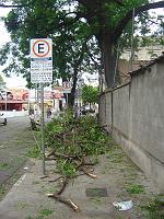 DSC00441