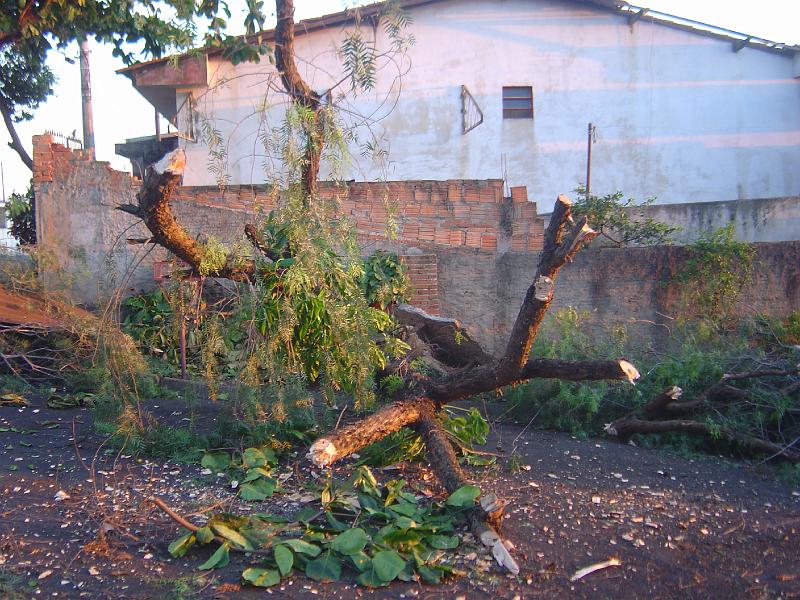 DSC00515