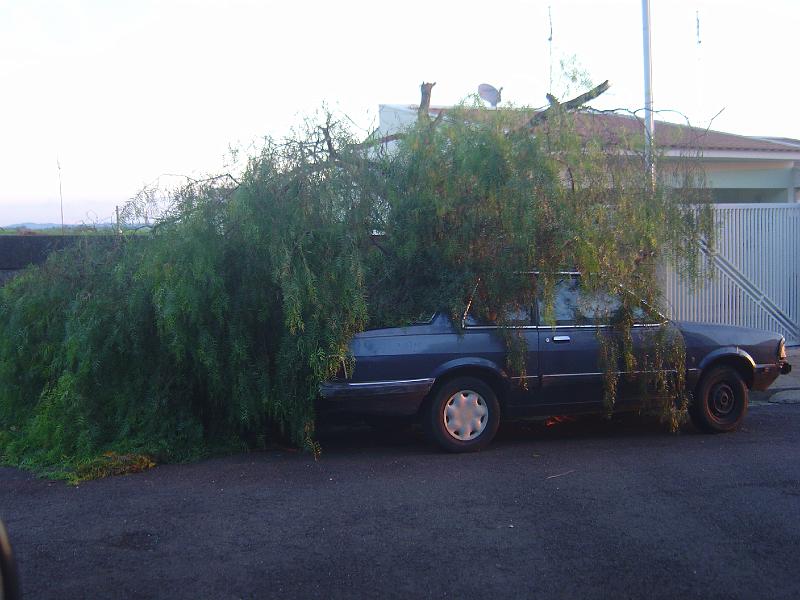 DSC00516