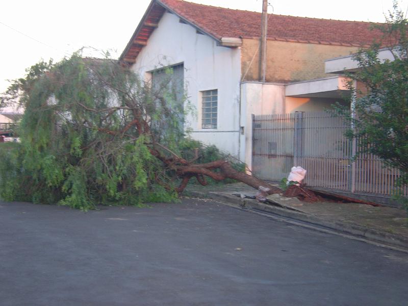 DSC00517