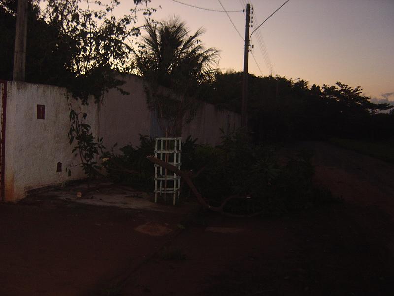 DSC00519