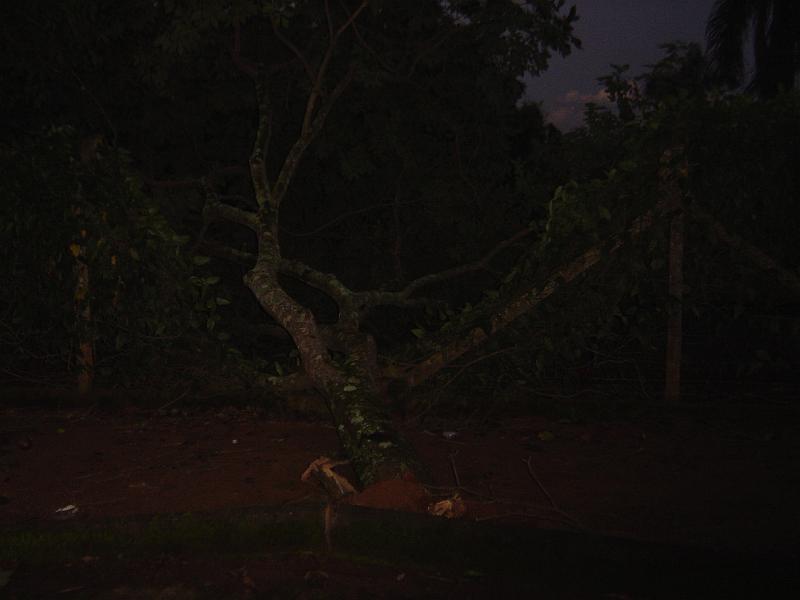 DSC00520