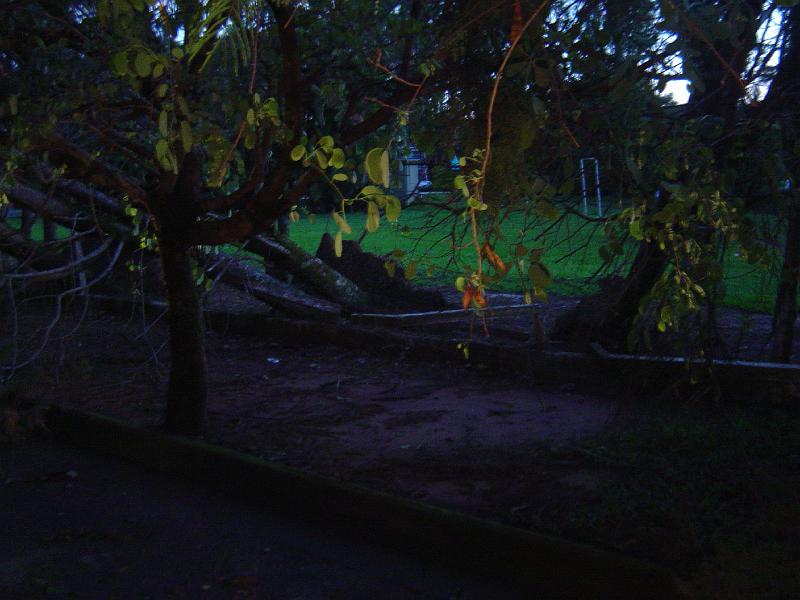 DSC00528